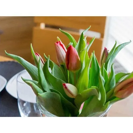 Casa vacanze Jolle D11